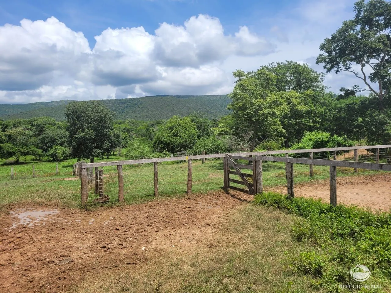 Fazenda à venda de 1.540 ha em Acorizal, MT, Brasil
