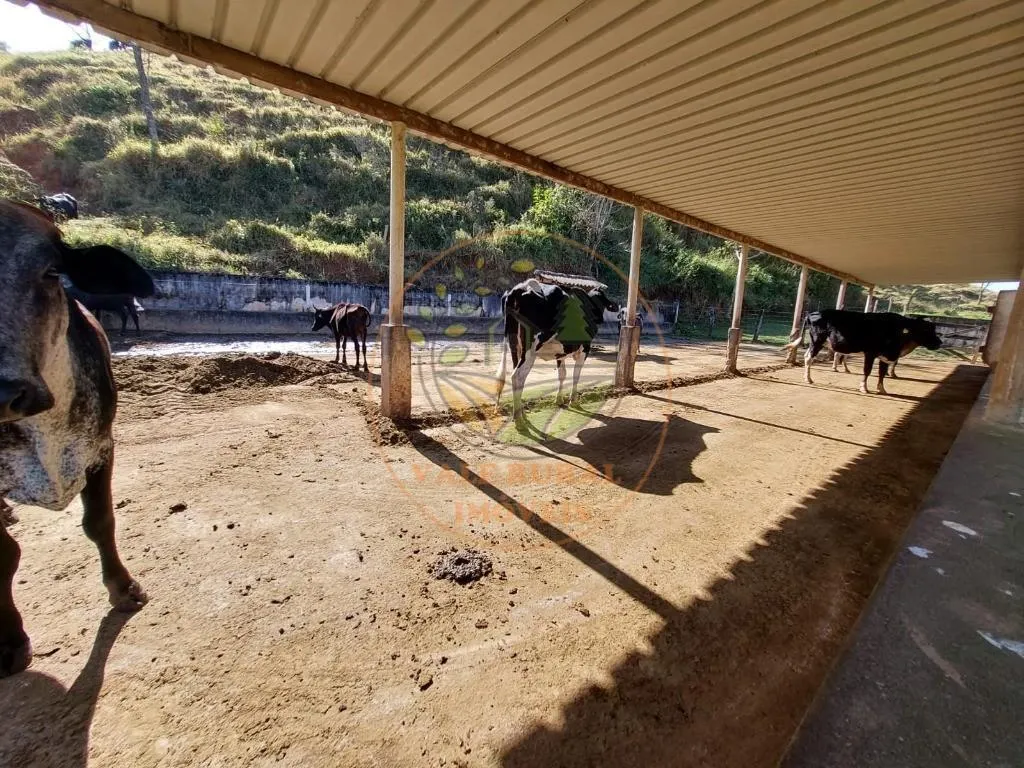 Sítio à venda de 25 ha em Cachoeira Paulista, SP, Brasil