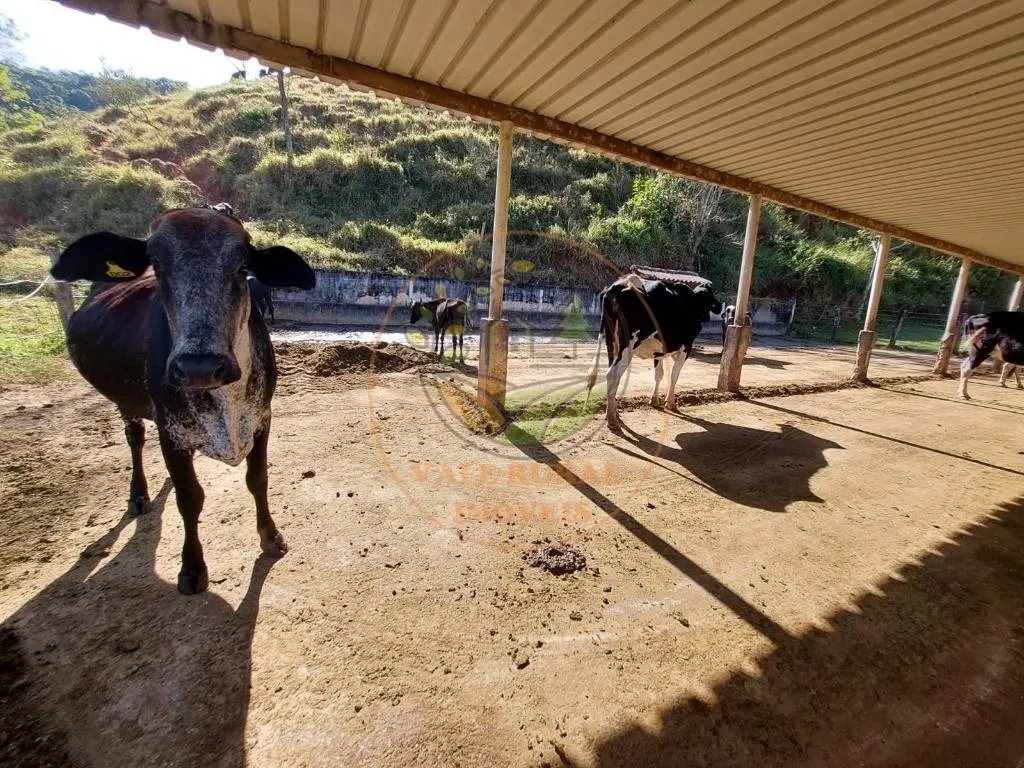 Sítio à venda de 25 ha em Cachoeira Paulista, SP, Brasil