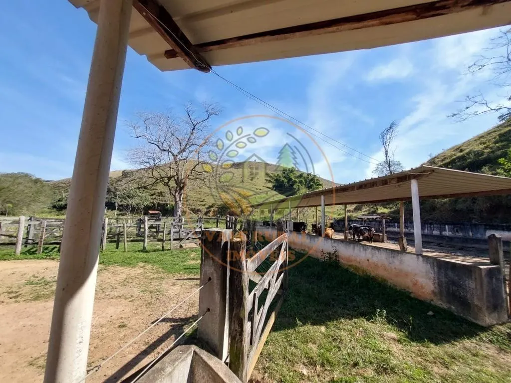 Sítio à venda de 25 ha em Cachoeira Paulista, SP, Brasil
