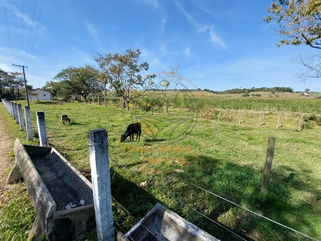 Sítio à venda de 25 ha em Cachoeira Paulista, SP, Brasil