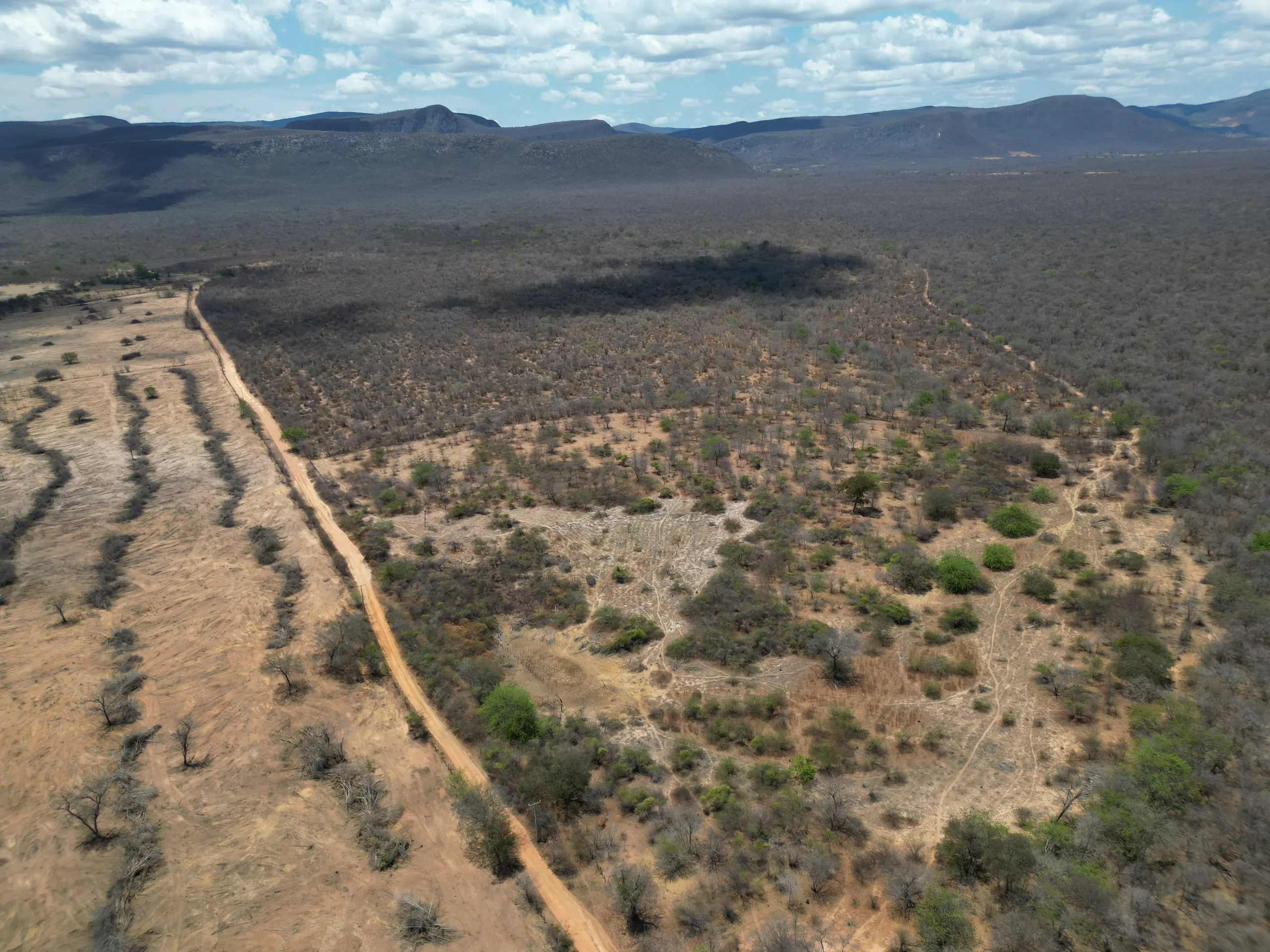 Fazenda à venda de 3.429 ha em Oliveira dos Brejinhos, BA, Brasil
