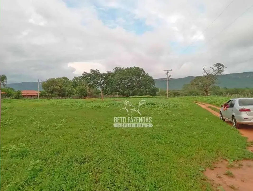 Fazenda à venda de 3.429 ha em Oliveira dos Brejinhos, BA, Brasil