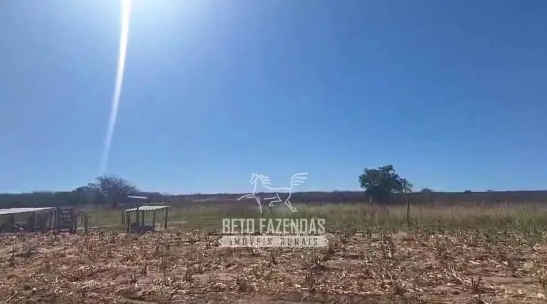 Fazenda à venda de 3.429 ha em Oliveira dos Brejinhos, BA, Brasil
