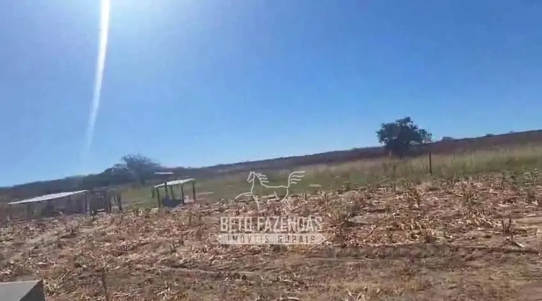 Fazenda à venda de 3.429 ha em Oliveira dos Brejinhos, BA, Brasil