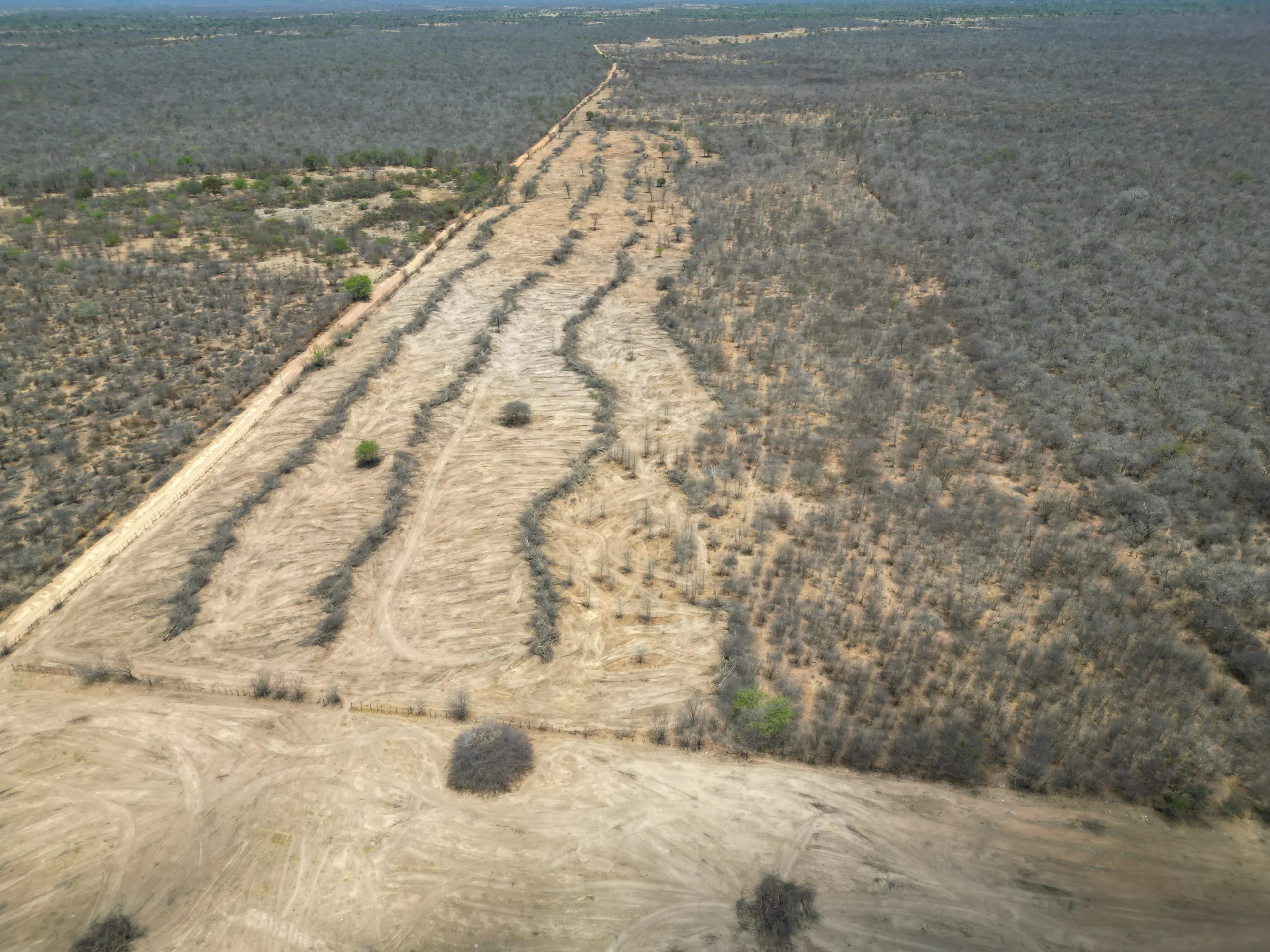 Fazenda à venda de 3.429 ha em Oliveira dos Brejinhos, BA, Brasil