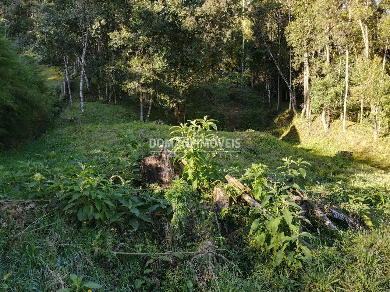 Plot for sale of 1,110 m² in Campos do Jordão, SP, Brazil