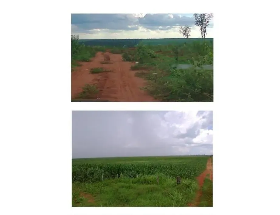 Comercial à venda de 8.419 ha em Capitán Bado, Paraguai