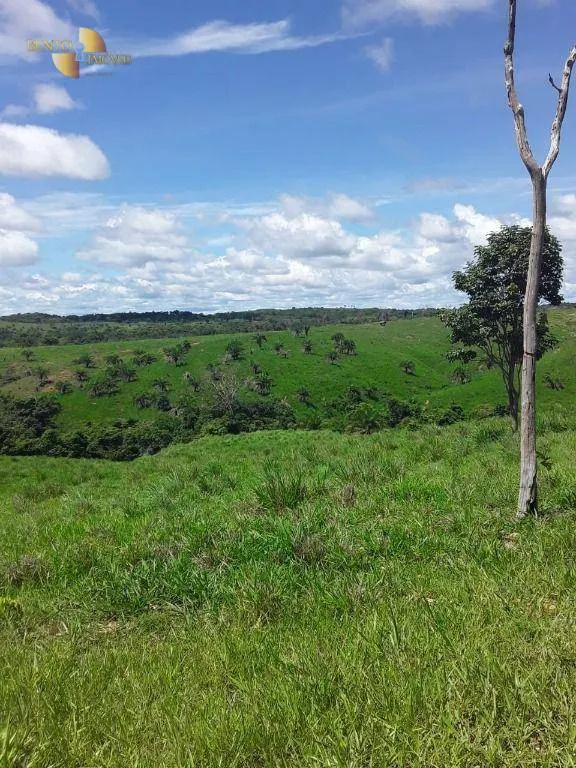 Fazenda à venda de 410 ha em Nobres, MT, Brasil
