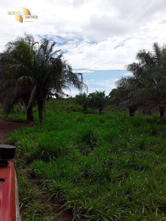 Fazenda à venda de 410 ha em Nobres, MT, Brasil