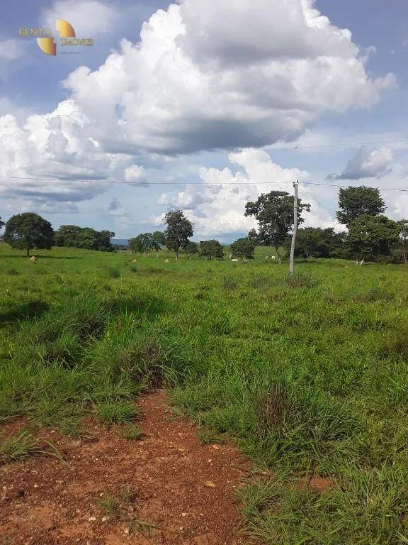 Fazenda à venda de 410 ha em Nobres, MT, Brasil