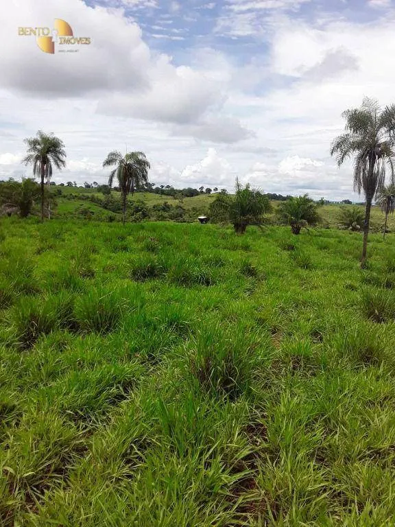 Fazenda à venda de 410 ha em Nobres, MT, Brasil