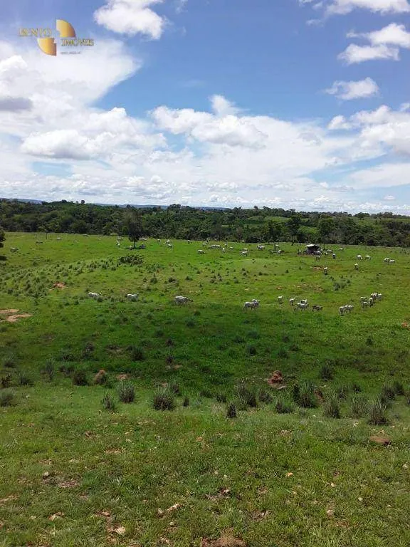 Fazenda à venda de 410 ha em Nobres, MT, Brasil