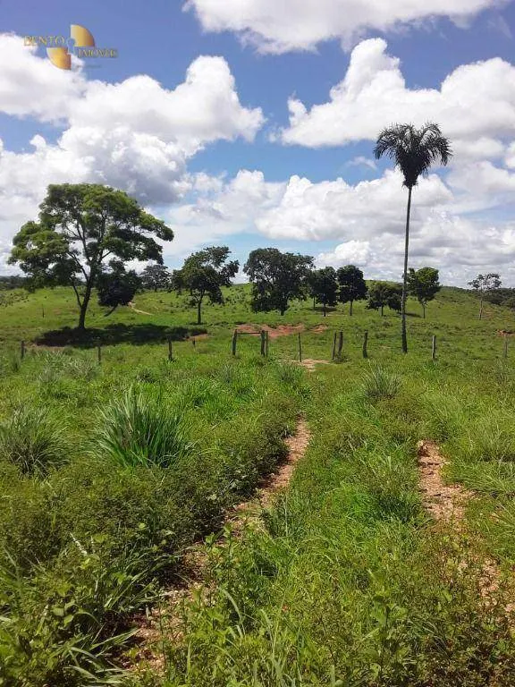 Fazenda à venda de 410 ha em Nobres, MT, Brasil