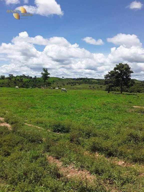Fazenda à venda de 410 ha em Nobres, MT, Brasil