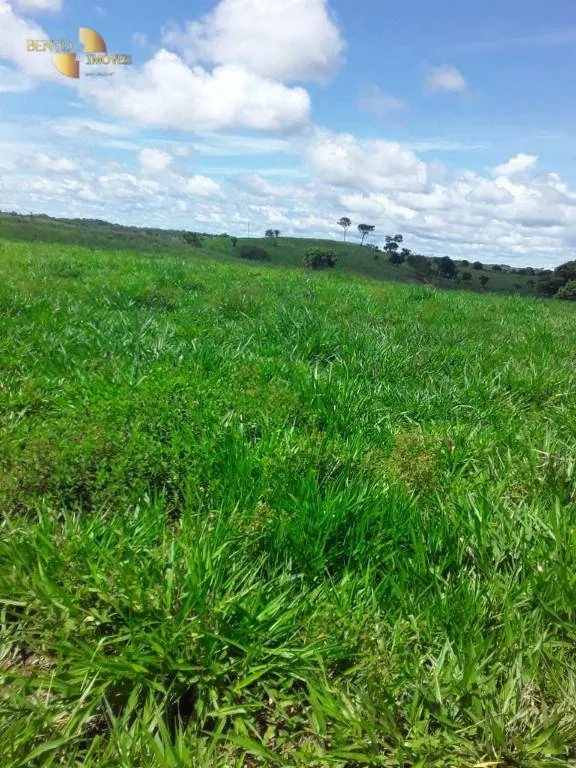 Fazenda à venda de 410 ha em Nobres, MT, Brasil