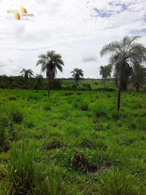 Fazenda à venda de 410 ha em Nobres, MT, Brasil