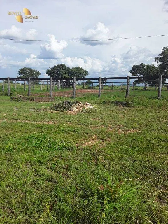 Fazenda à venda de 410 ha em Nobres, MT, Brasil