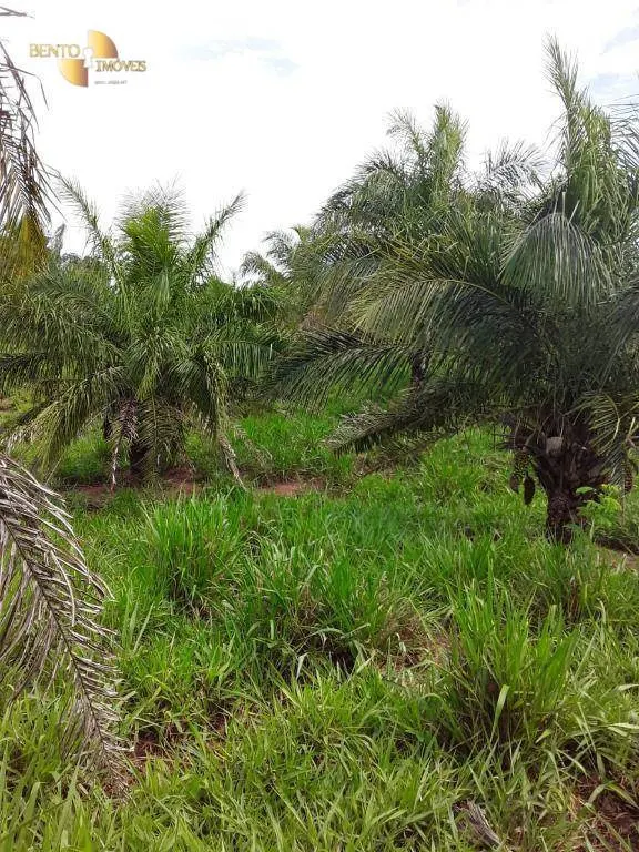 Fazenda à venda de 410 ha em Nobres, MT, Brasil
