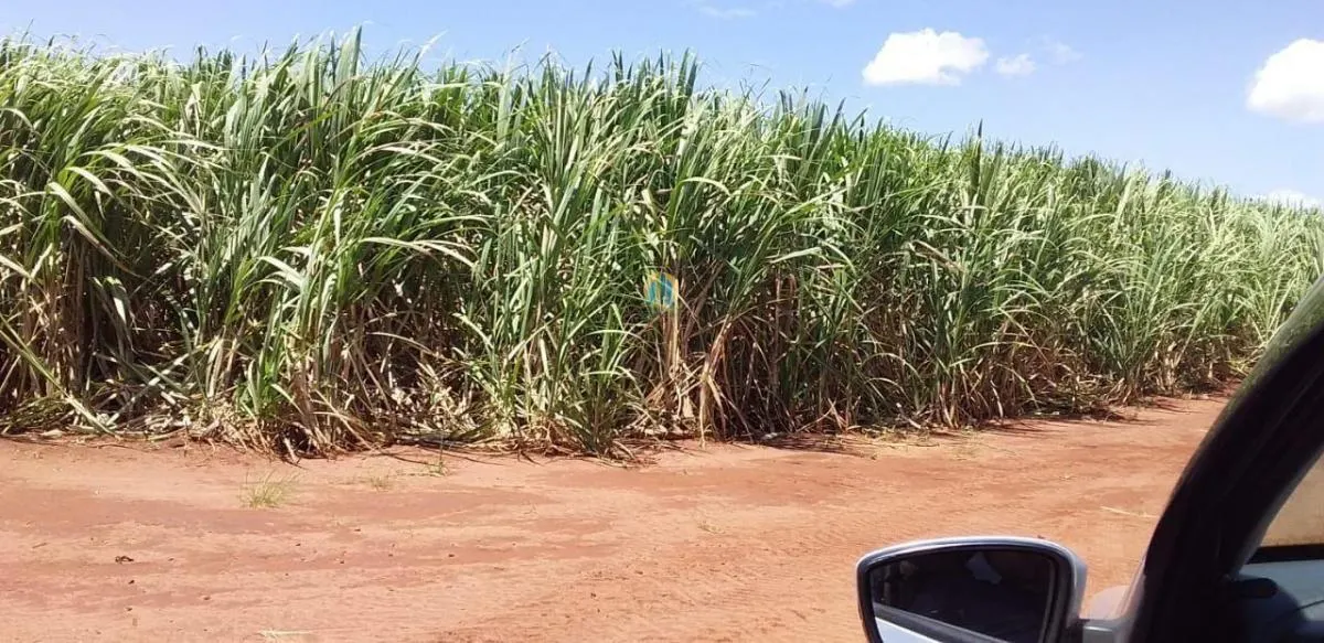 Fazenda à venda de 1.871 ha em Serra Azul, SP, Brasil