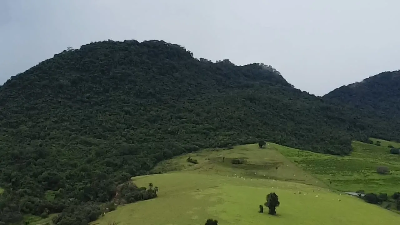 Small farm for sale of 90 acres in Botucatu, SP, Brazil