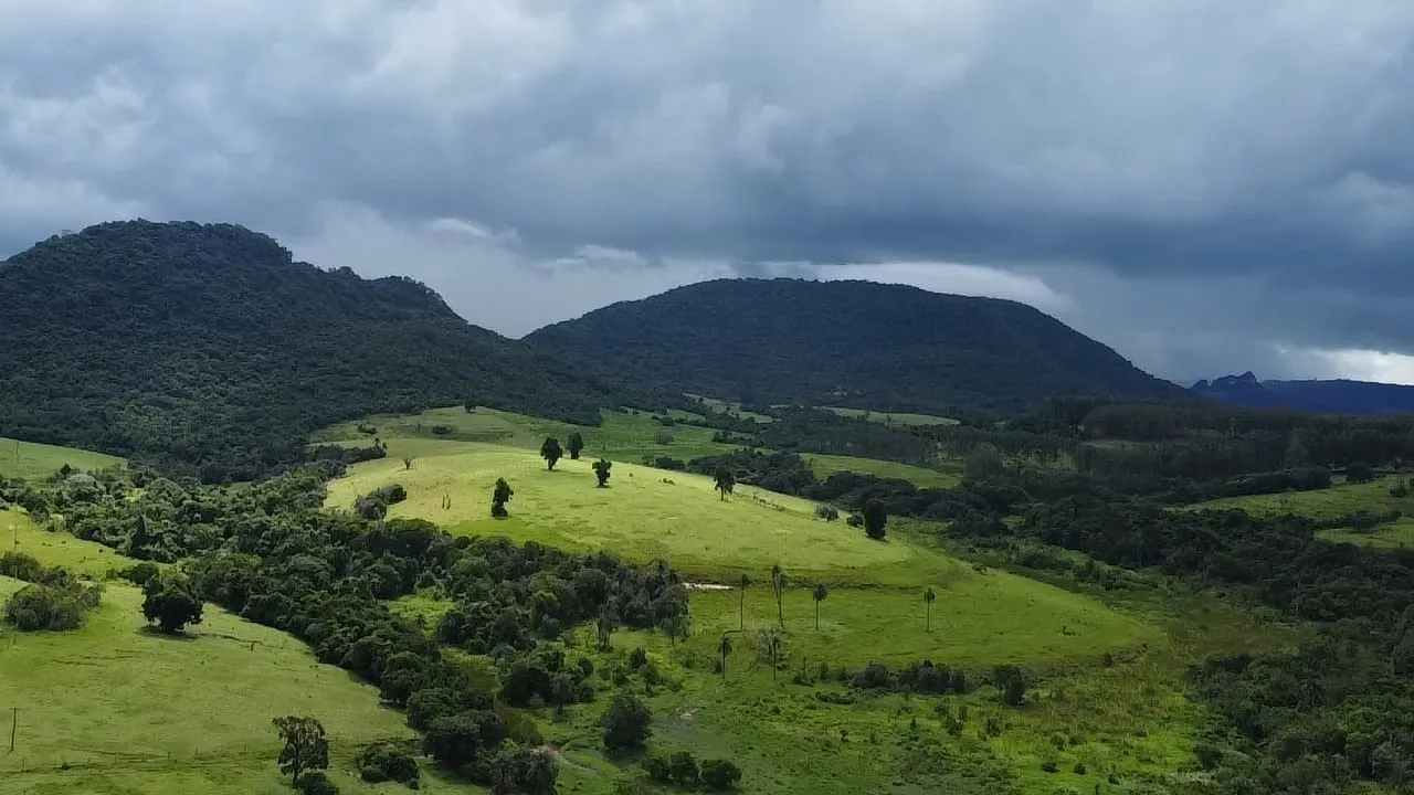 Small farm for sale of 90 acres in Botucatu, SP, Brazil