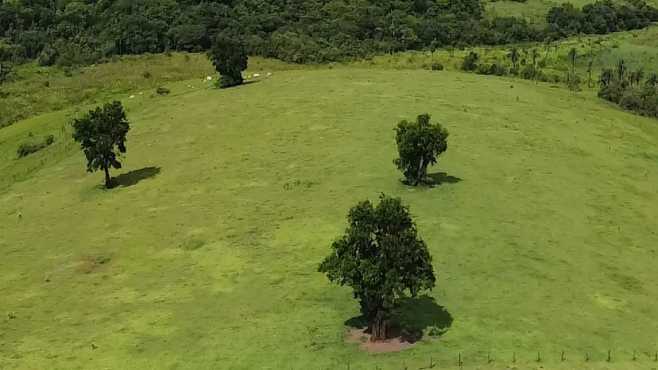Small farm for sale of 90 acres in Botucatu, SP, Brazil