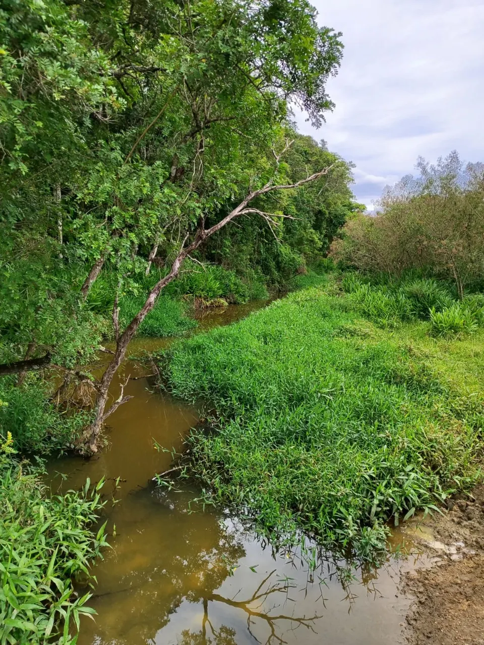 Fazenda à venda de 117 ha em São Miguel Arcanjo, SP, Brasil