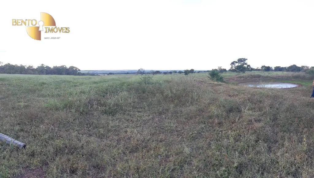 Fazenda à venda de 680 ha em Rondonópolis, MT, Brasil