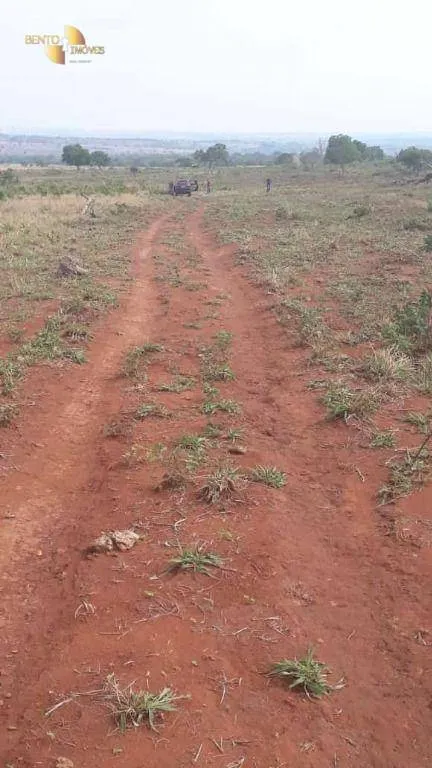 Fazenda à venda de 680 ha em Rondonópolis, MT, Brasil
