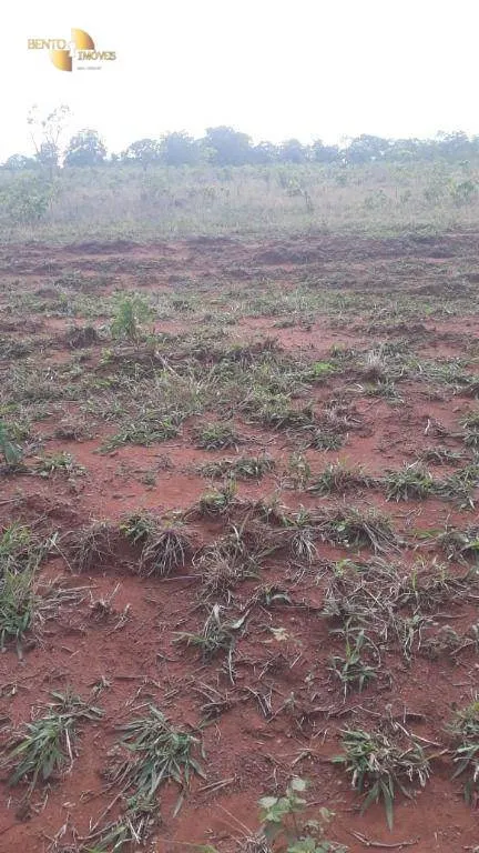 Fazenda à venda de 680 ha em Rondonópolis, MT, Brasil