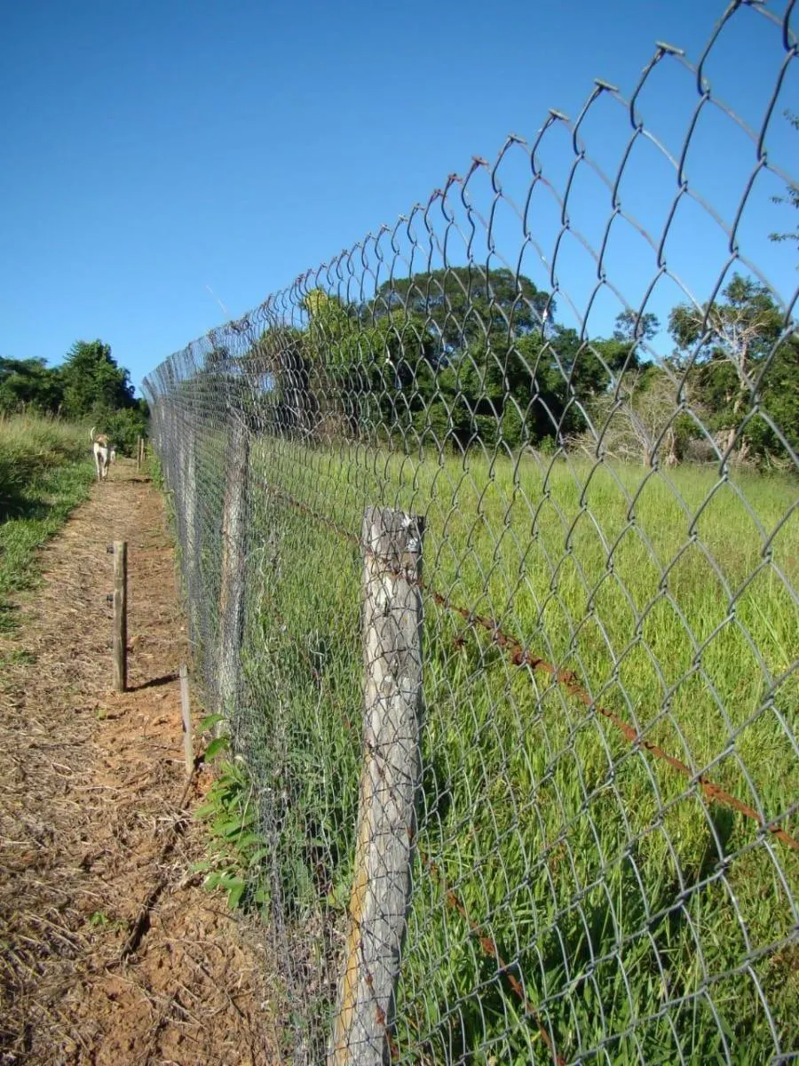 Sítio à venda de 3 ha em Campinas, SP, Brasil