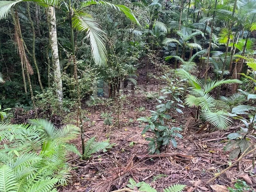 Country home for sale of 32 acres in Botuverá, SC, Brazil
