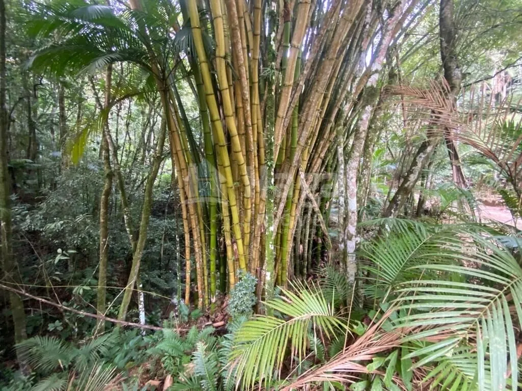 Country home for sale of 32 acres in Botuverá, SC, Brazil