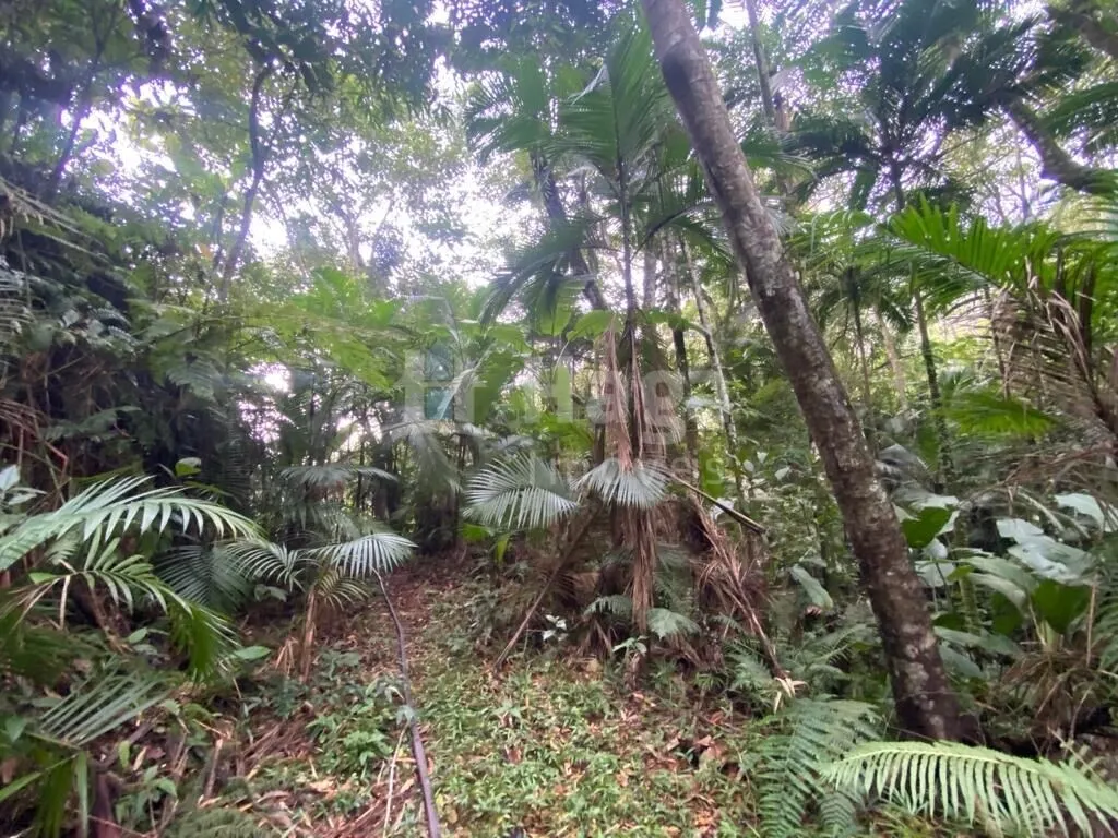 Country home for sale of 32 acres in Botuverá, SC, Brazil