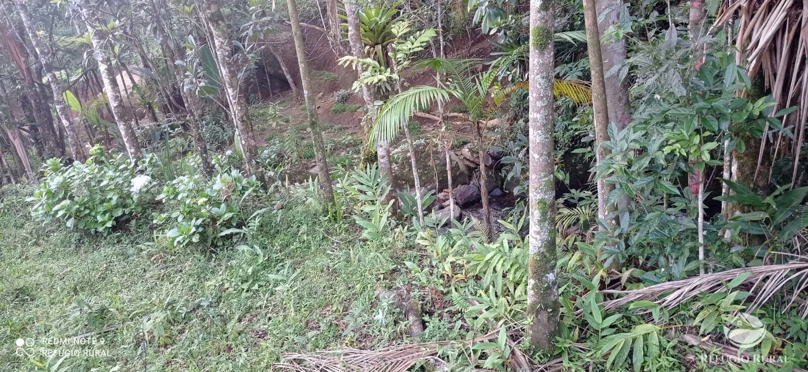 Chácara à venda de 1 ha em São José dos Campos, SP, Brasil