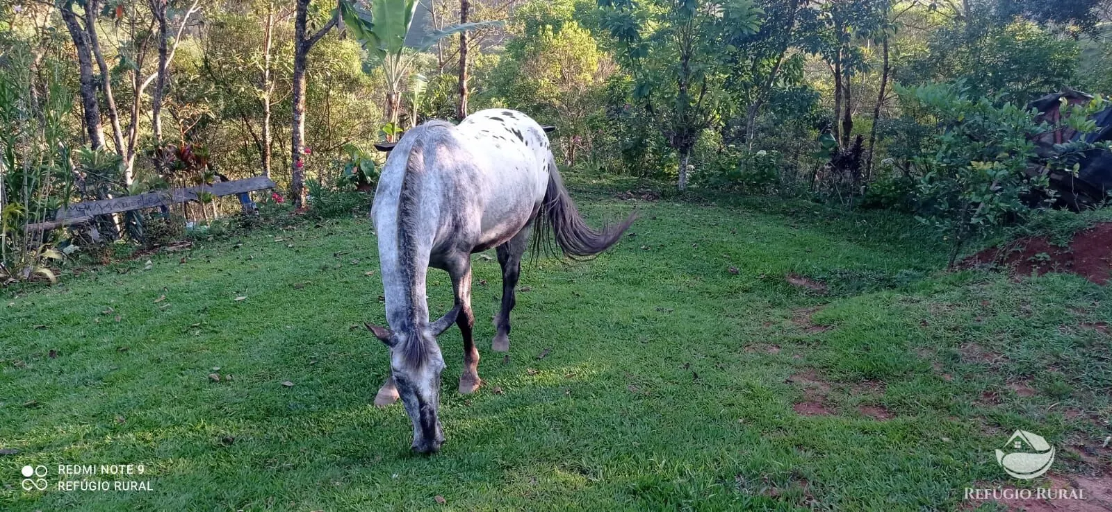 Chácara à venda de 1 ha em São José dos Campos, SP, Brasil