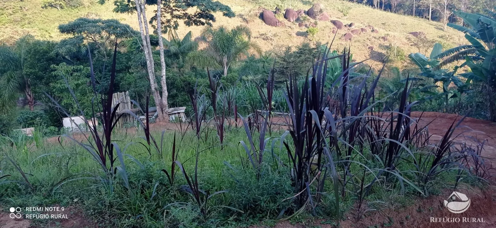Chácara à venda de 1 ha em São José dos Campos, SP, Brasil