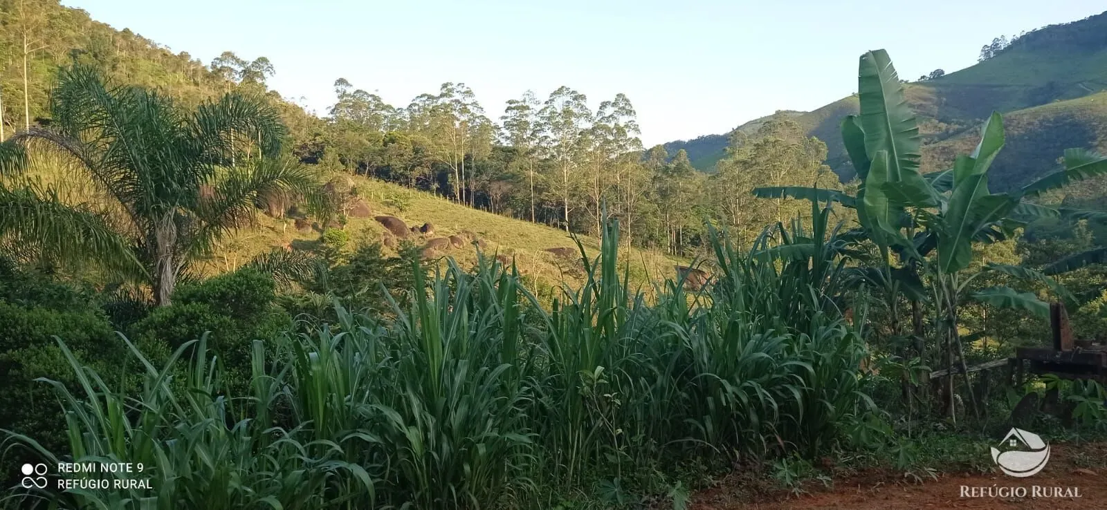Chácara à venda de 1 ha em São José dos Campos, SP, Brasil