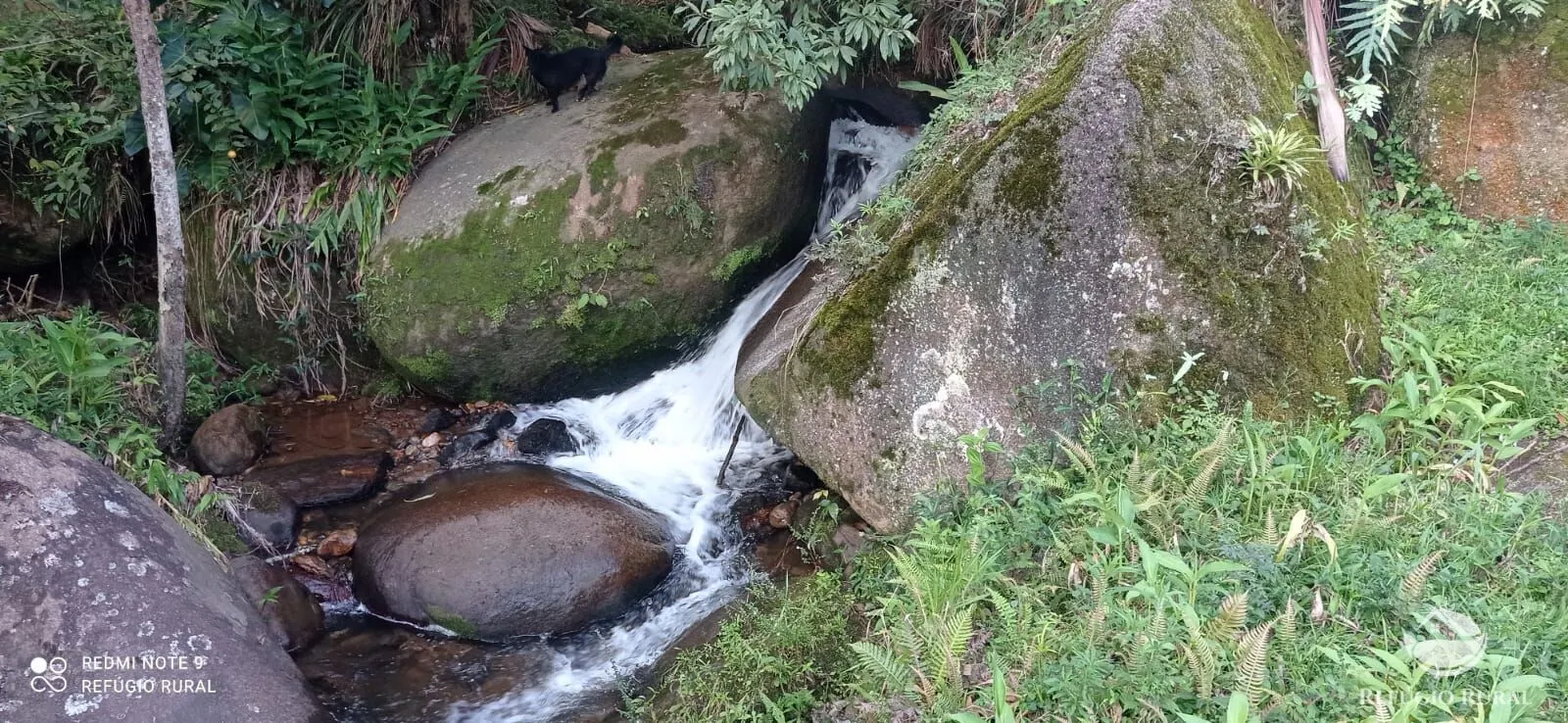 Chácara à venda de 1 ha em São José dos Campos, SP, Brasil