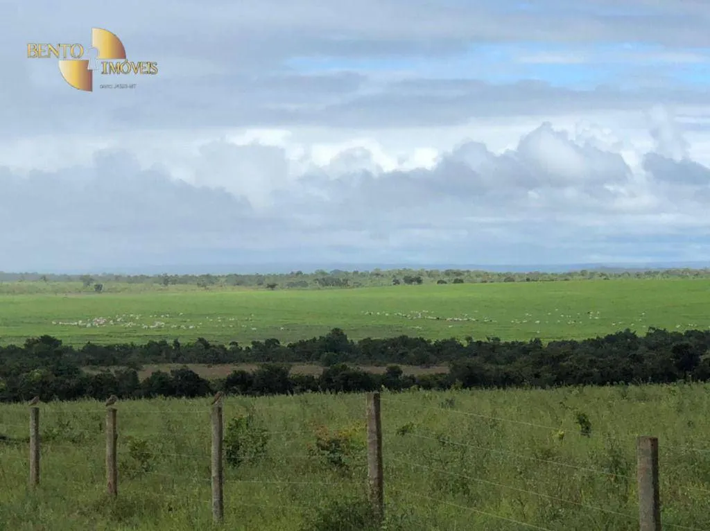 Fazenda à venda de 7.000 ha em Cerejeiras, RO, Brasil