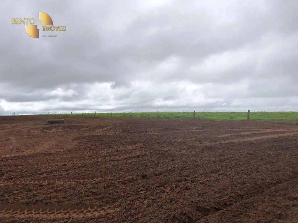 Fazenda à venda de 7.000 ha em Cerejeiras, RO, Brasil