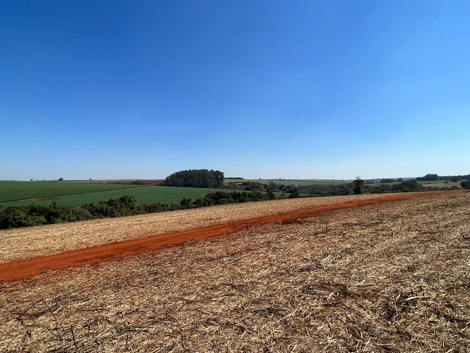 Fazenda à venda de 428 ha em Avaré, SP, Brasil