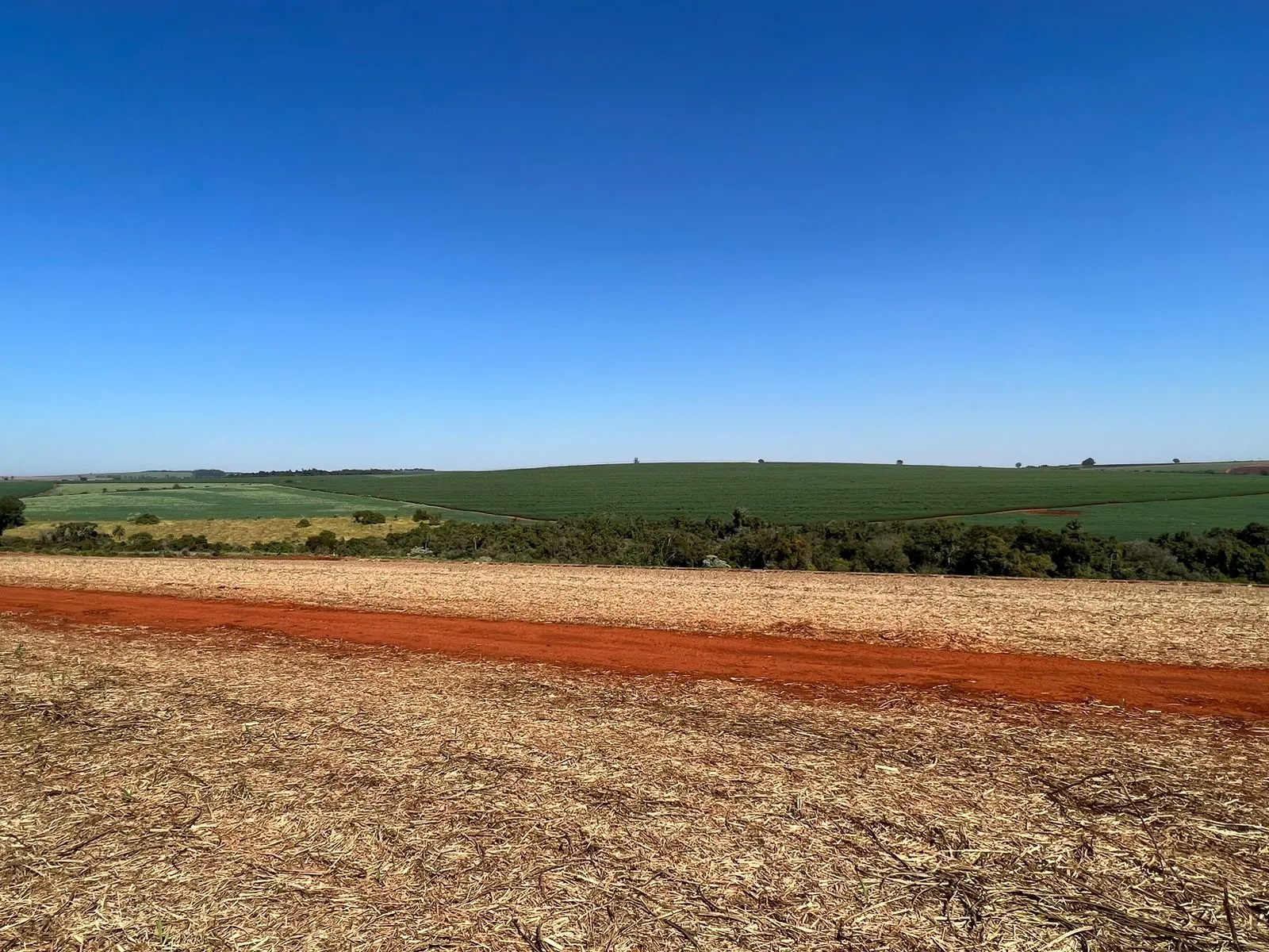 Fazenda à venda de 428 ha em Avaré, SP, Brasil