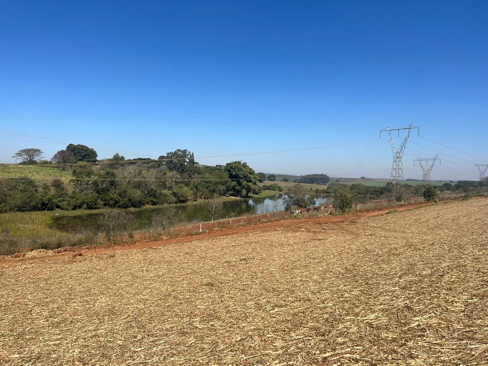 Fazenda à venda de 428 ha em Avaré, SP, Brasil