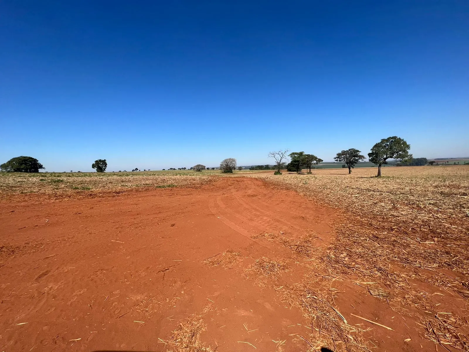 Fazenda à venda de 428 ha em Avaré, SP, Brasil