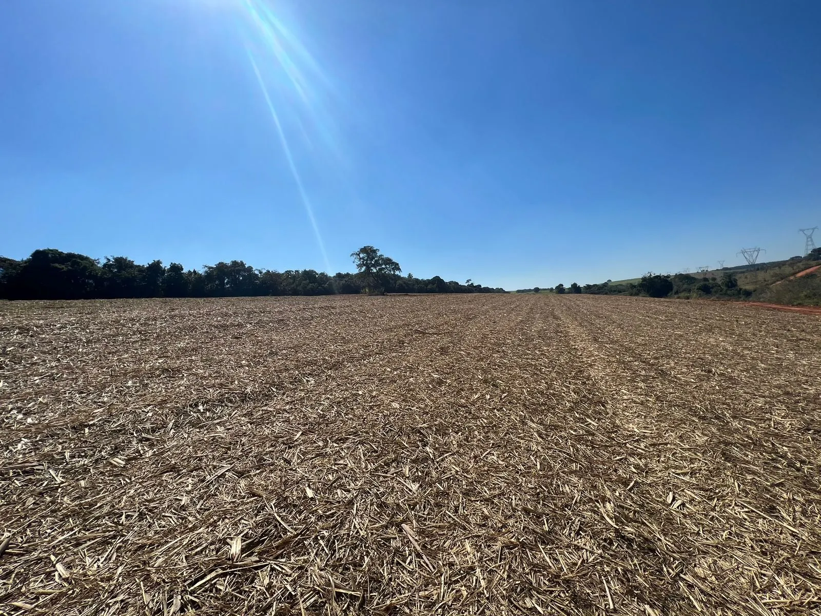 Fazenda à venda de 428 ha em Avaré, SP, Brasil