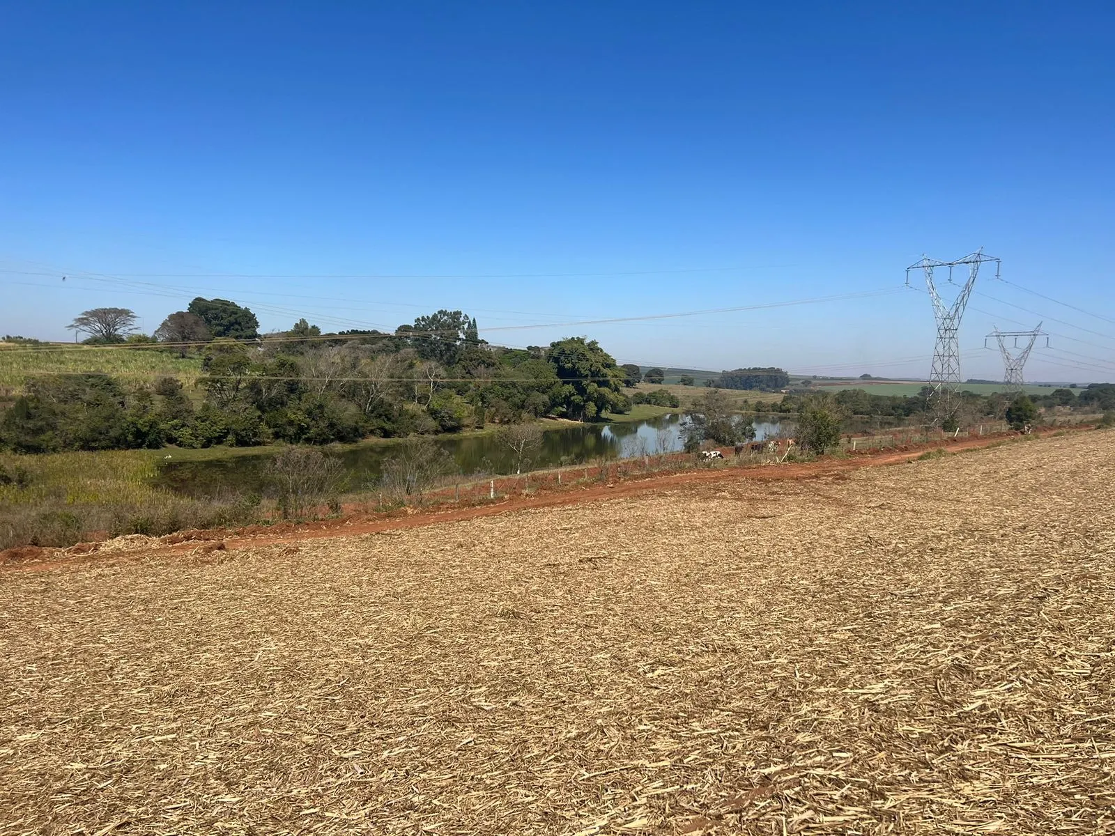 Fazenda à venda de 428 ha em Avaré, SP, Brasil