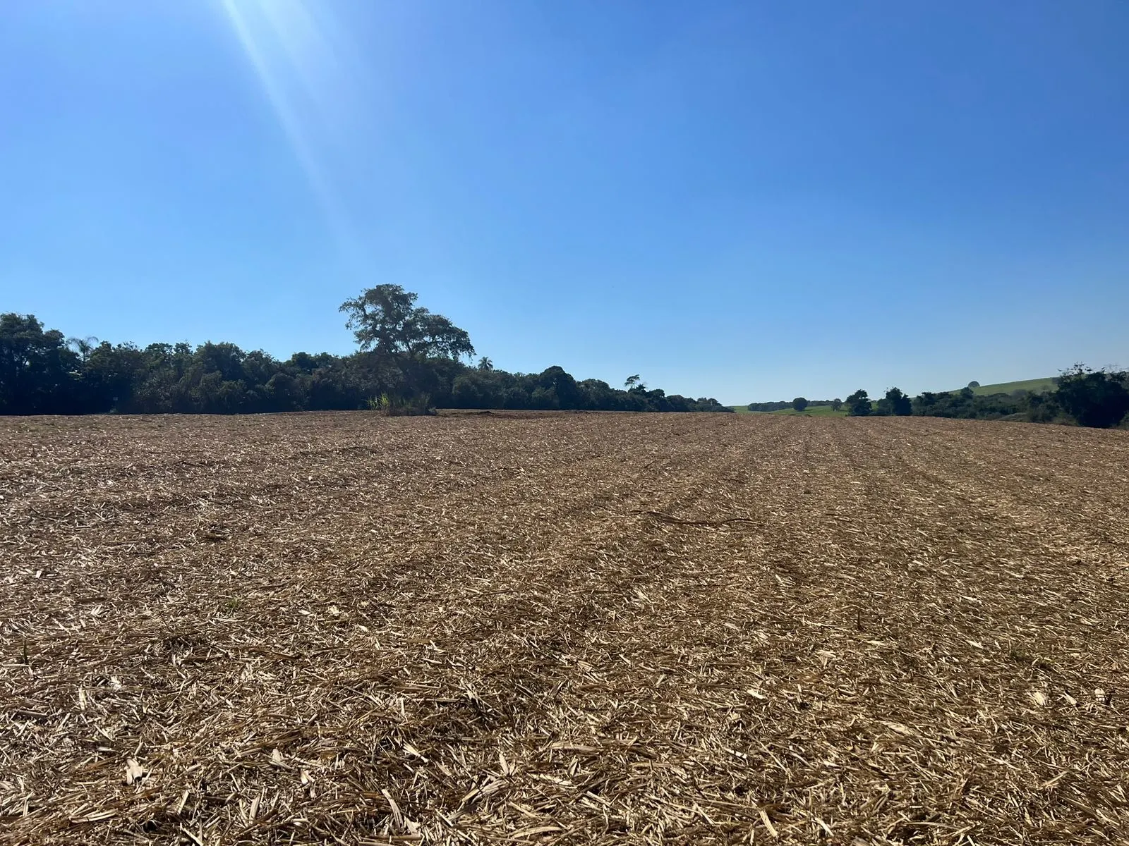 Fazenda à venda de 428 ha em Avaré, SP, Brasil