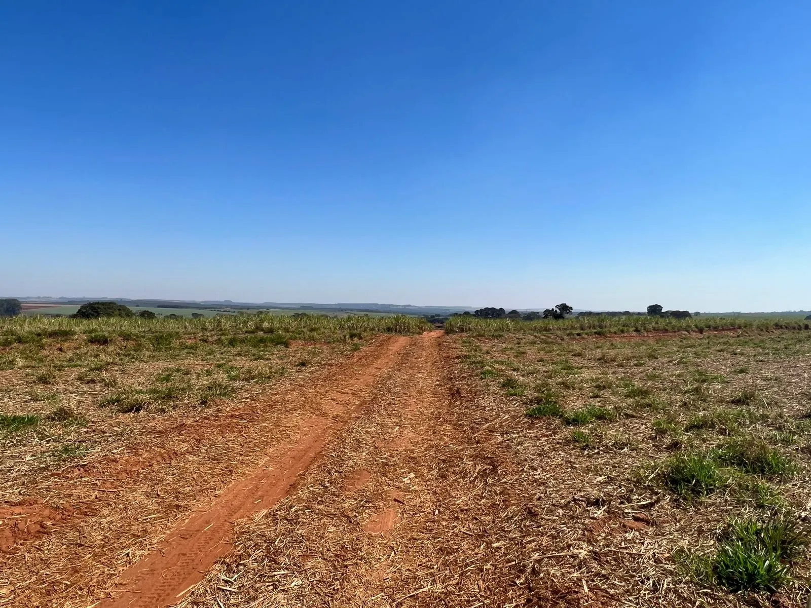Fazenda à venda de 428 ha em Avaré, SP, Brasil